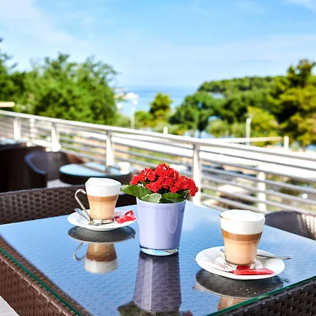 ホテル Molindrio Plava Laguna