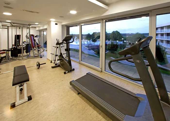 Hotel Molindrio Plava Laguna 4*